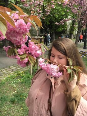 SAKURA w Budapeszcie