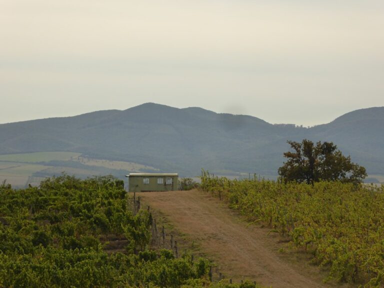 słowacja-tokaj1