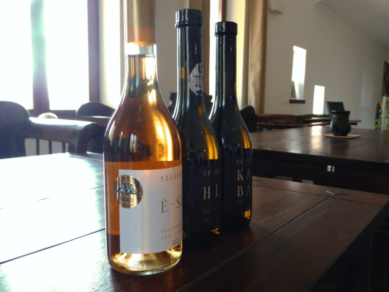 tokaj winnice 8