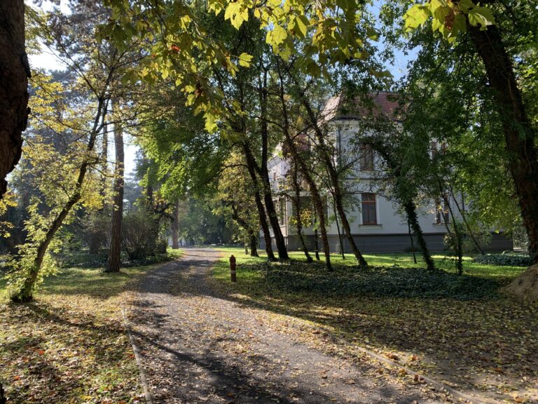 IMG_2113 (1)