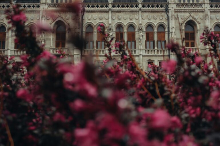 pexels-photo-10213803-10213803.jpg