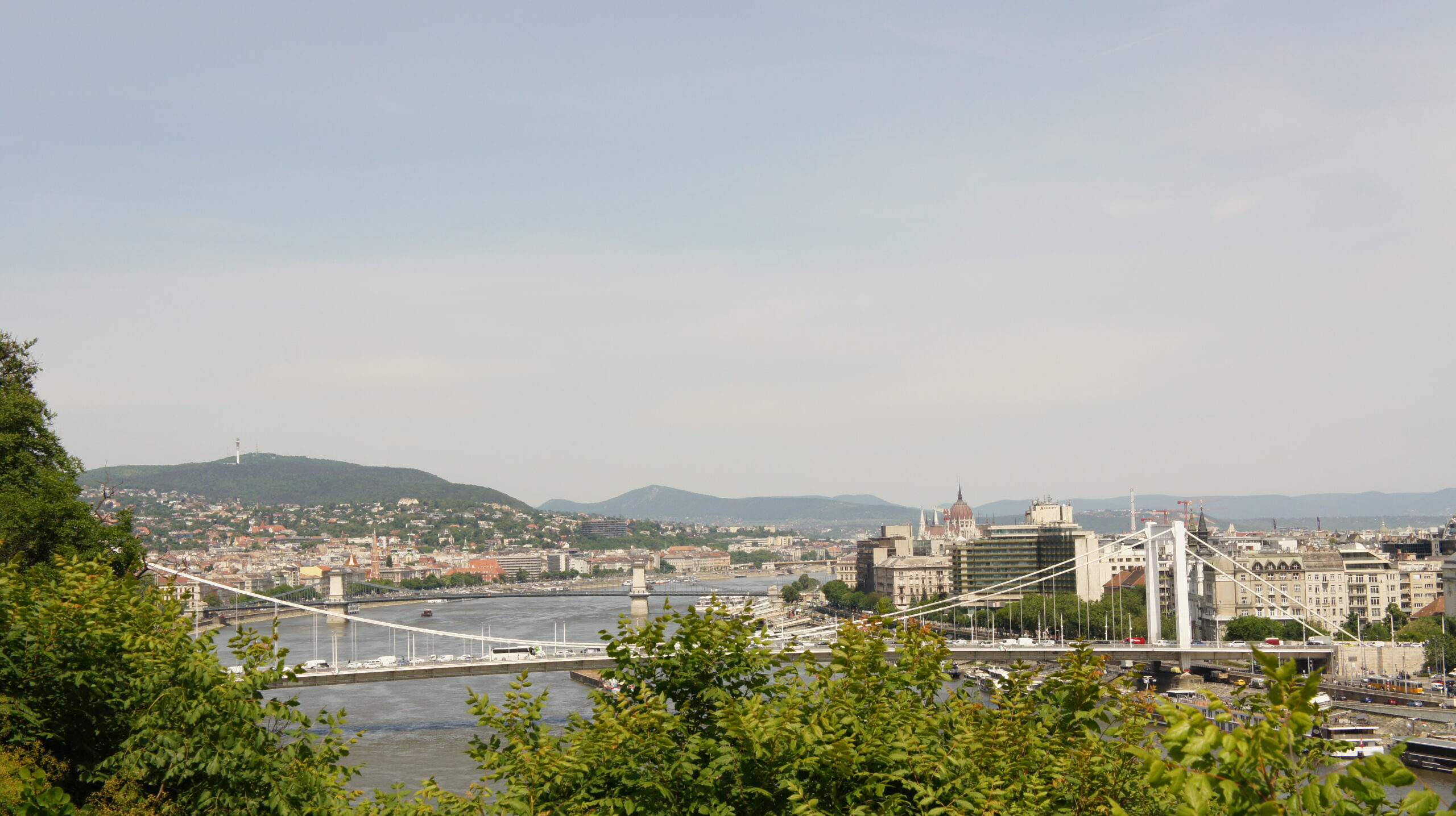 Most Elżbiety w Budapeszcie
