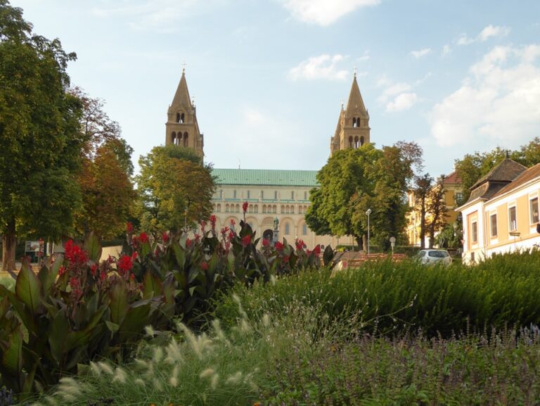 katedra-kwiaty-pecz-wegry